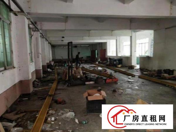  新联工业区一楼1250平招租可办环评精装修办公室