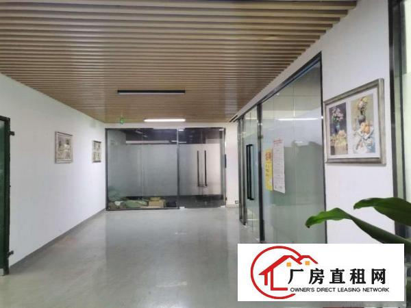  电商基地，直播，办公，