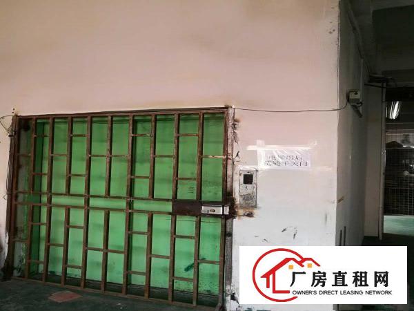  出租虎门镇南部湾大宁工业区厂房