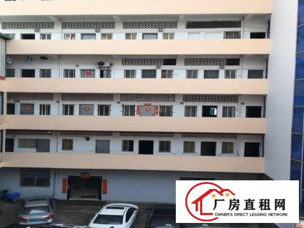  精装带水电厂房，交通便利，加急出租，价格巨惠