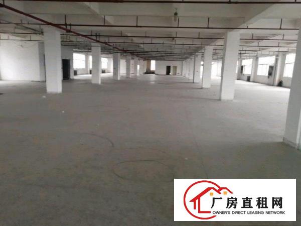  虎门北栅工业区原房东三楼整层厂房800平方出租无公摊
