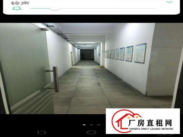  东莞虎门精装修厂房分租