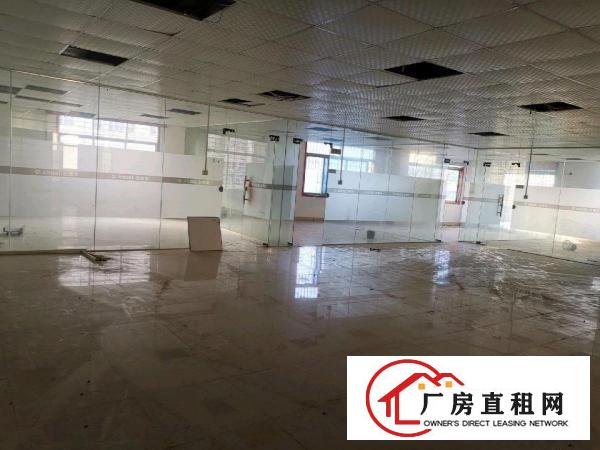  虎门南栅独门独院厂房