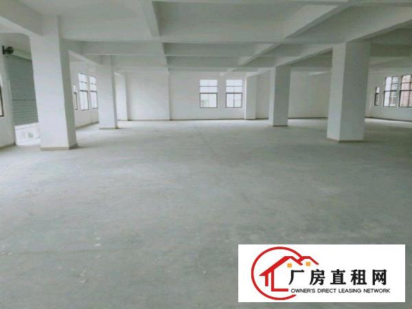  怀德本地房东全新厂房招租