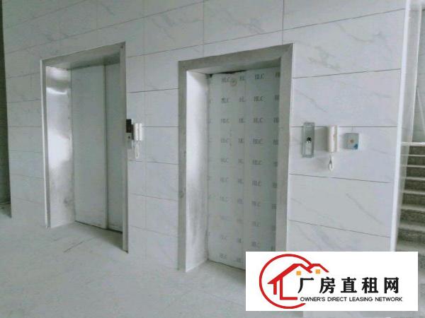  怀德本地房东全新厂房招租