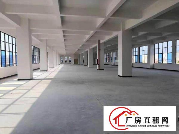  出租虎门镇南栅沿江高速5250平出租可办环评