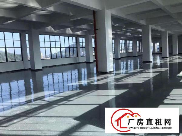  出租虎门镇南栅沿江高速5250平出租可办环评