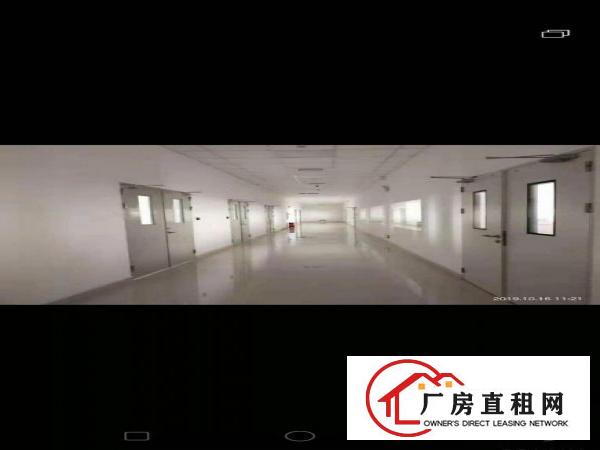  虎门新出园区厂房万级无尘车间