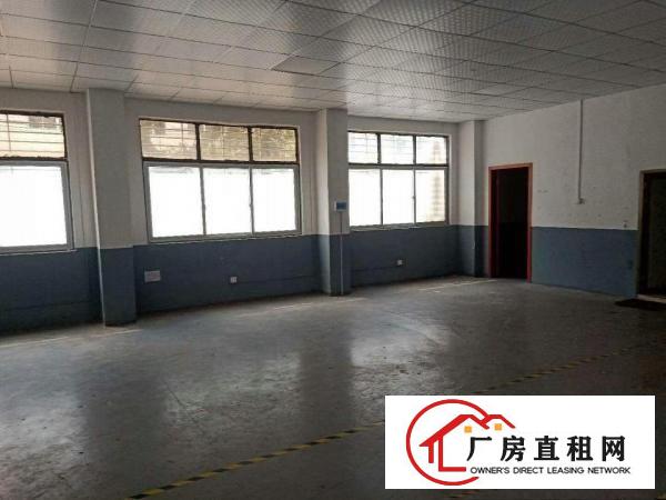  虎门龙眼工业区标准一楼320平方招租