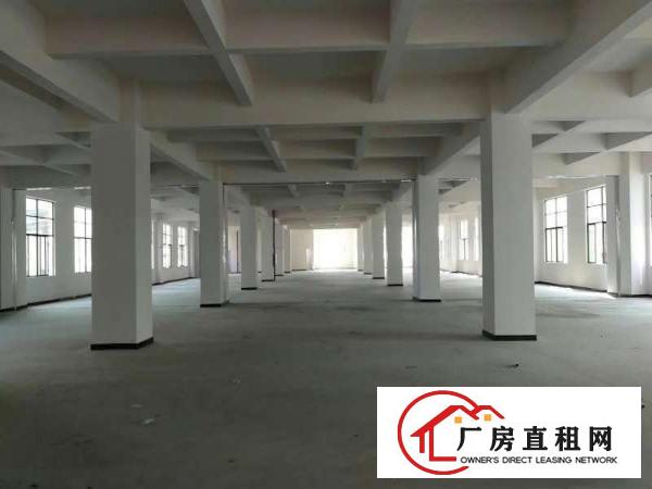  虎门全新重工业厂房31800出租真实有效