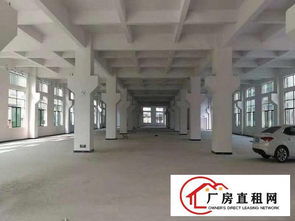  虎门全新重工业厂房31800出租真实有效