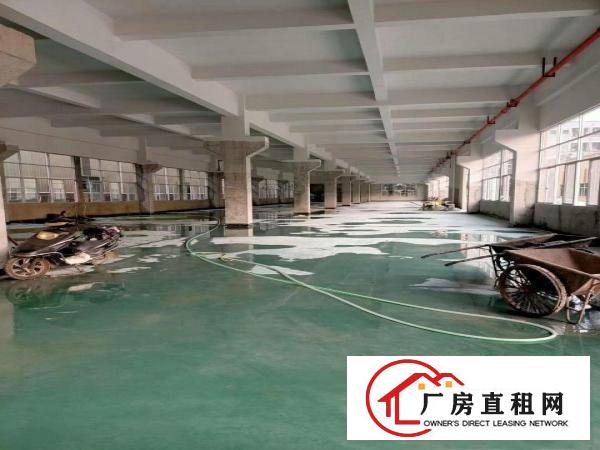  虎门怀德北栅交界厂房分租