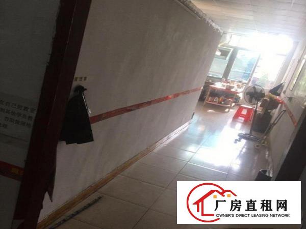  分租转租培训中心学习机构场地/写字楼招租/制衣厂招租