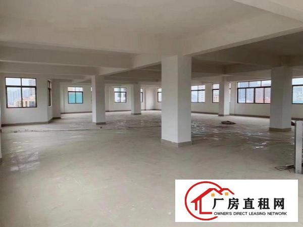  北栅元心大厦300多平方层房东直租