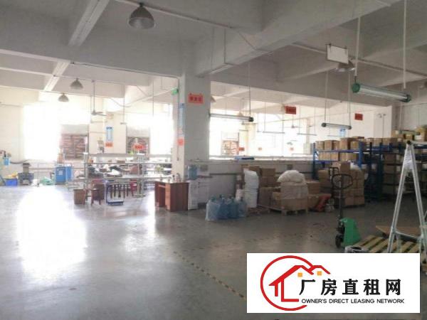  居岐工业区标准厂房空出二楼800平，设施齐全，拎包入驻