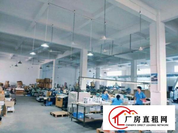  大宁工业区一楼厂房500平高6米，有装修，原房东，可办环评