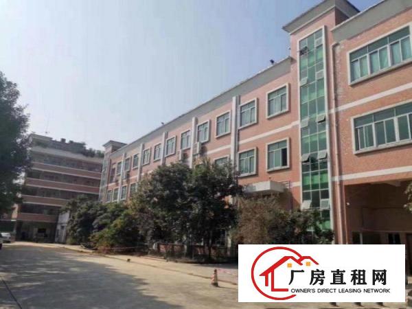 新谷涌原房东一楼厂房出租600平，带环评