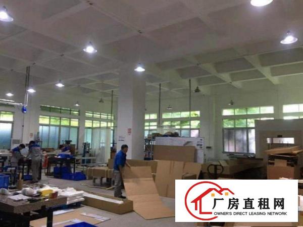  树田工业区原房东，一楼厂房500方，拎包生产可办环评