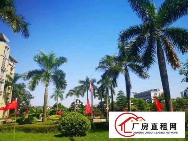  沿江高速房东直租全新厂房