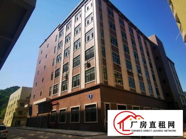  沿江高速房东直租全新厂房