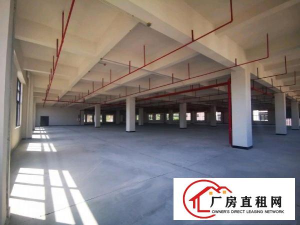  沿江高速房东直租全新厂房