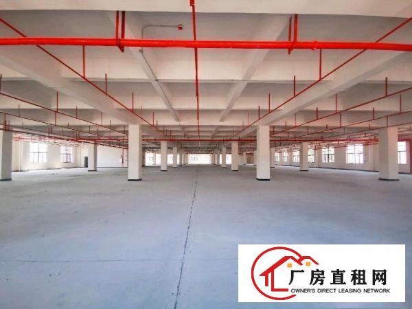  沿江高速房东直租全新厂房