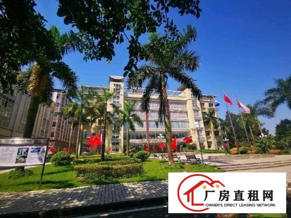  沿江高速房东直租全新厂房
