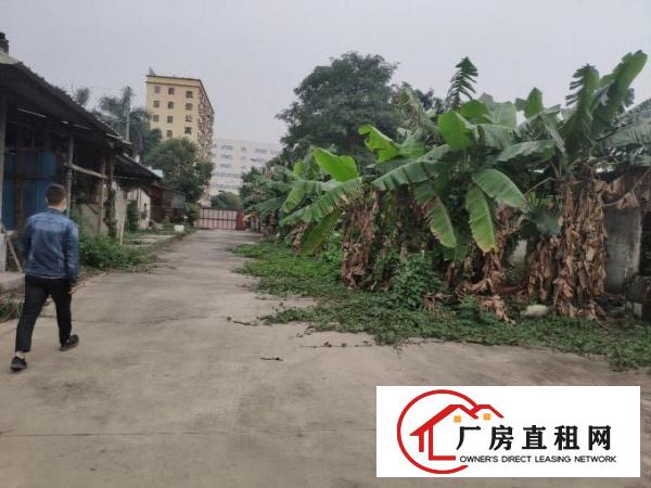  虎门赤岗6000方原房东钢构