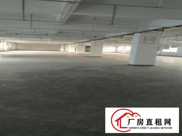  虎门标准两层独院厂房5000平方出租