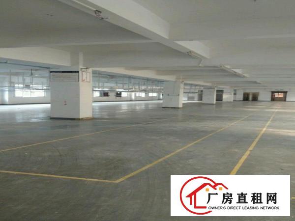  虎门标准两层独院厂房5000平方出租