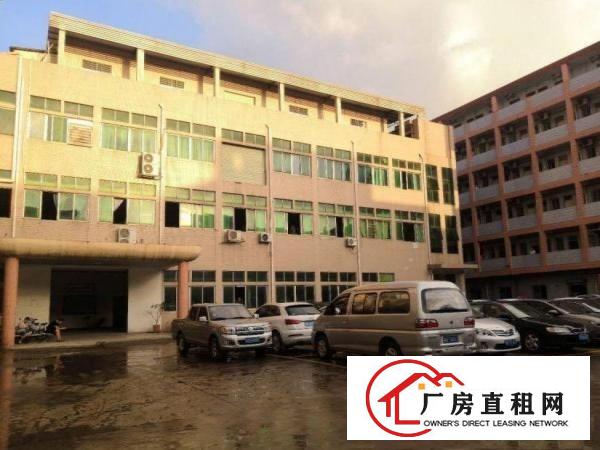  树田工业区新出1楼350平方，带办公室装修水电齐全出租