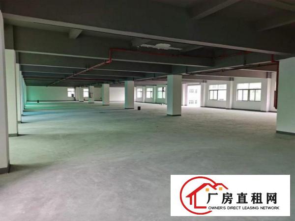  精装全新厂房出租，价格亲民！