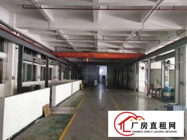  博涌新出1楼800平带行车办公室，车间水电齐全