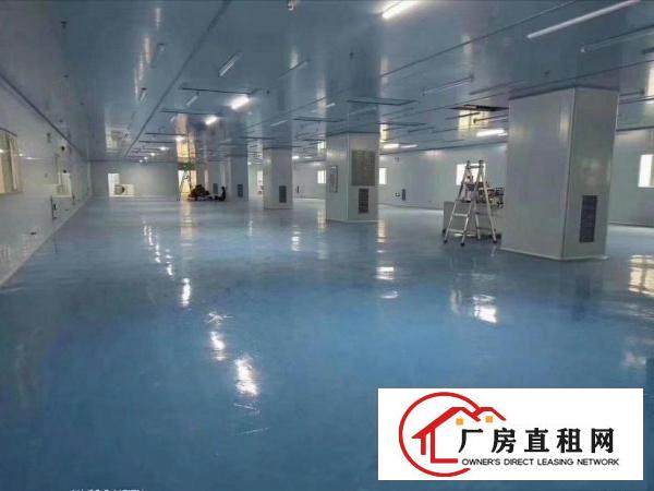  无尘车间，可做口罩医疗器械，楼上还有五千平方
