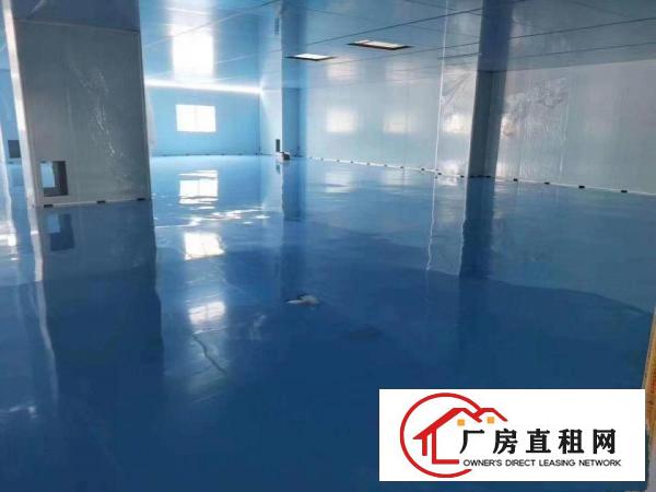  虎门原房东无尘车间5000平出租，500平起分