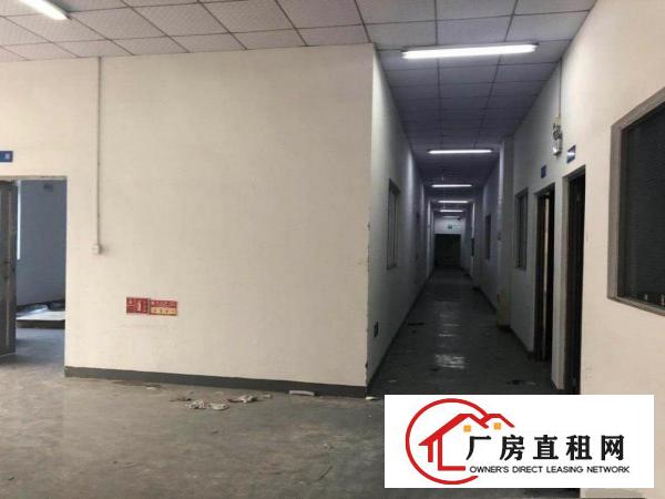  独门独院厂房原房东招租