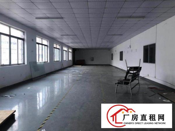  独门独院厂房原房东招租
