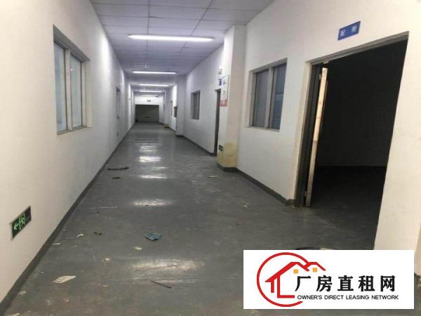  独门独院厂房原房东招租