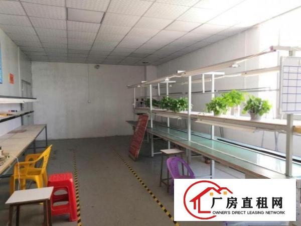  新联标准厂房空出二楼800平，设施齐全，拎包入驻