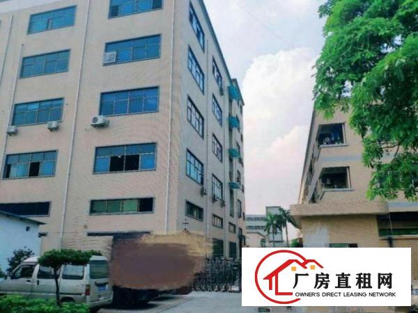  沙角一楼厂房500平高6米，有装修，原房东，可办环评