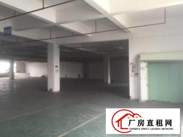  北面新出原房东独院分租1楼1500
