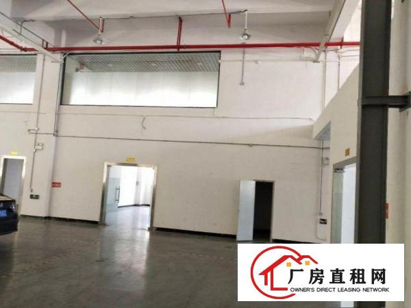  南面新出一楼厂房2500平，实际面积