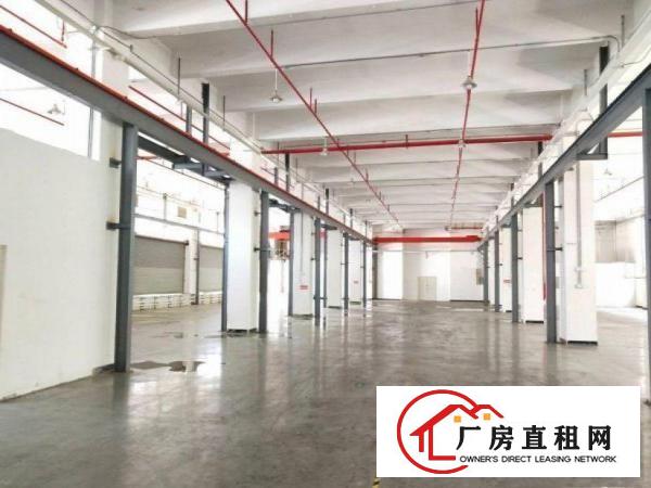  南面新出一楼厂房2500平，实际面积