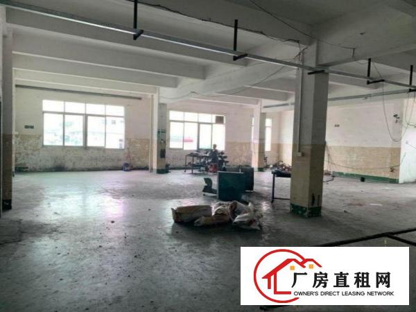  树田一楼厂房1200平方带现成环评出租