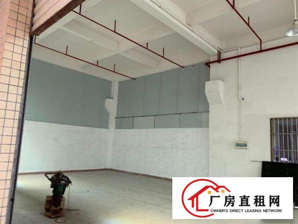  大宁原房东，一楼带牛角标准厂房招租400平