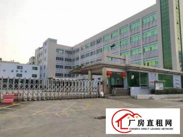  树田刚空出楼上精装修厂房800平方水电齐可办环评货梯直达