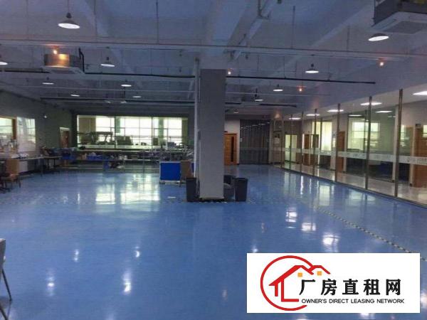  树田刚空出楼上精装修厂房800平方水电齐可办环评货梯直达
