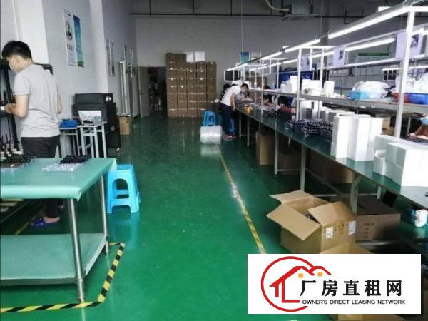  东方新出三楼1100平方厂房豪华办公室装修大气前台
