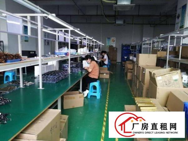  东方新出三楼1100平方厂房豪华办公室装修大气前台