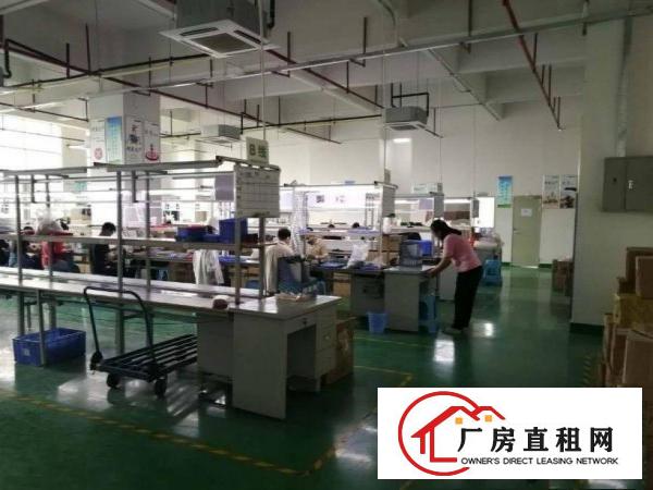  东方新出三楼1100平方厂房豪华办公室装修大气前台